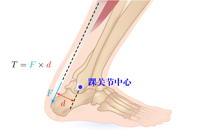 迈克杰克逊简介（迈克尔·杰克逊 45 度前倾是怎么做到的？）