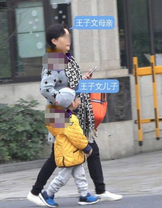 王子文简介（游离了3个男人后，决定未婚生子，35岁带儿子潇洒生活）