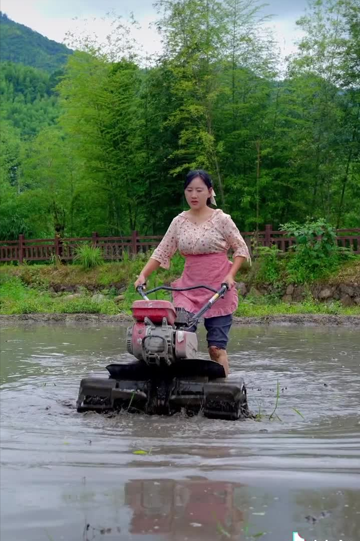 乡愁沈丹个人资料简介(从离异负债到带全村人致富，单亲妈妈如何完成蜕变？)