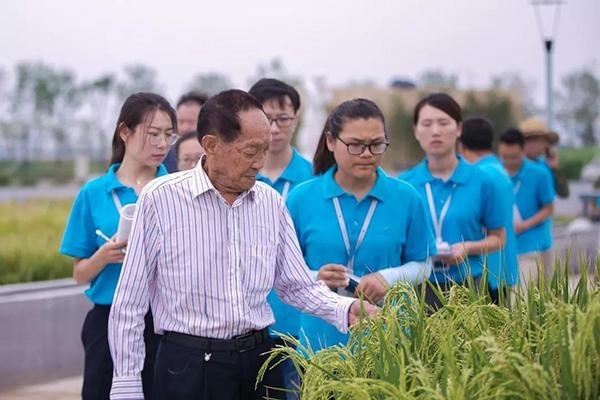 袁隆平生平简短简介（世界杂交水稻之父——袁隆平）