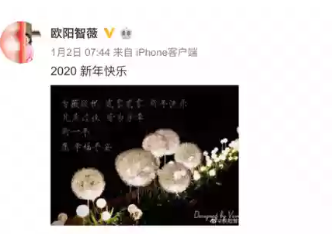 著名主播欧阳智薇简介（被调查离开央视，6年后，现今她怎样了？）