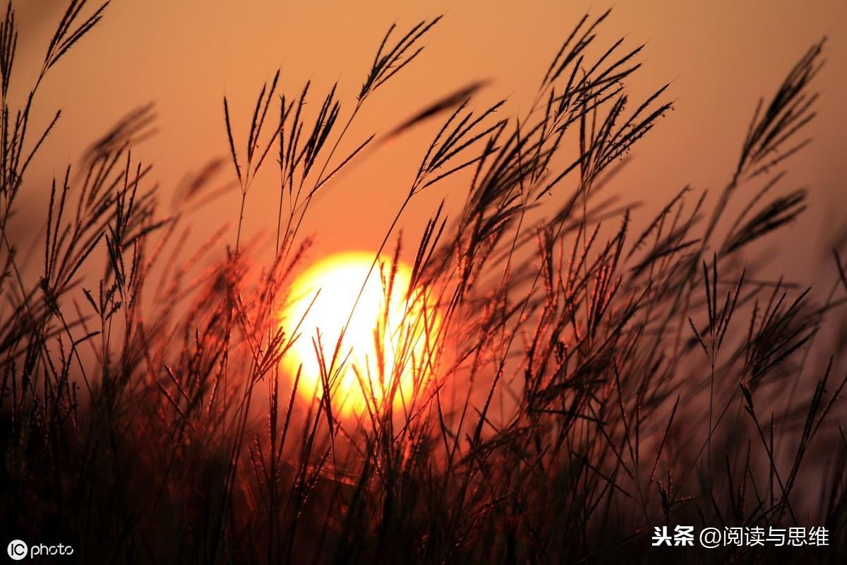 才高八斗的主人公是谁（七步成诗，才高八斗，旷世奇才曹植的传奇人生）