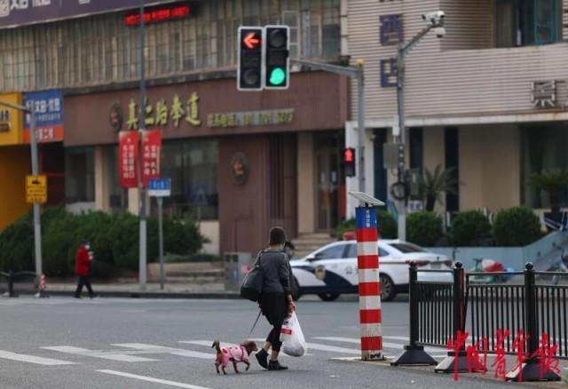 在上海电话亭住了一个月的女人是谁(对话上海“电话亭女士”：我这个人活得很简单)