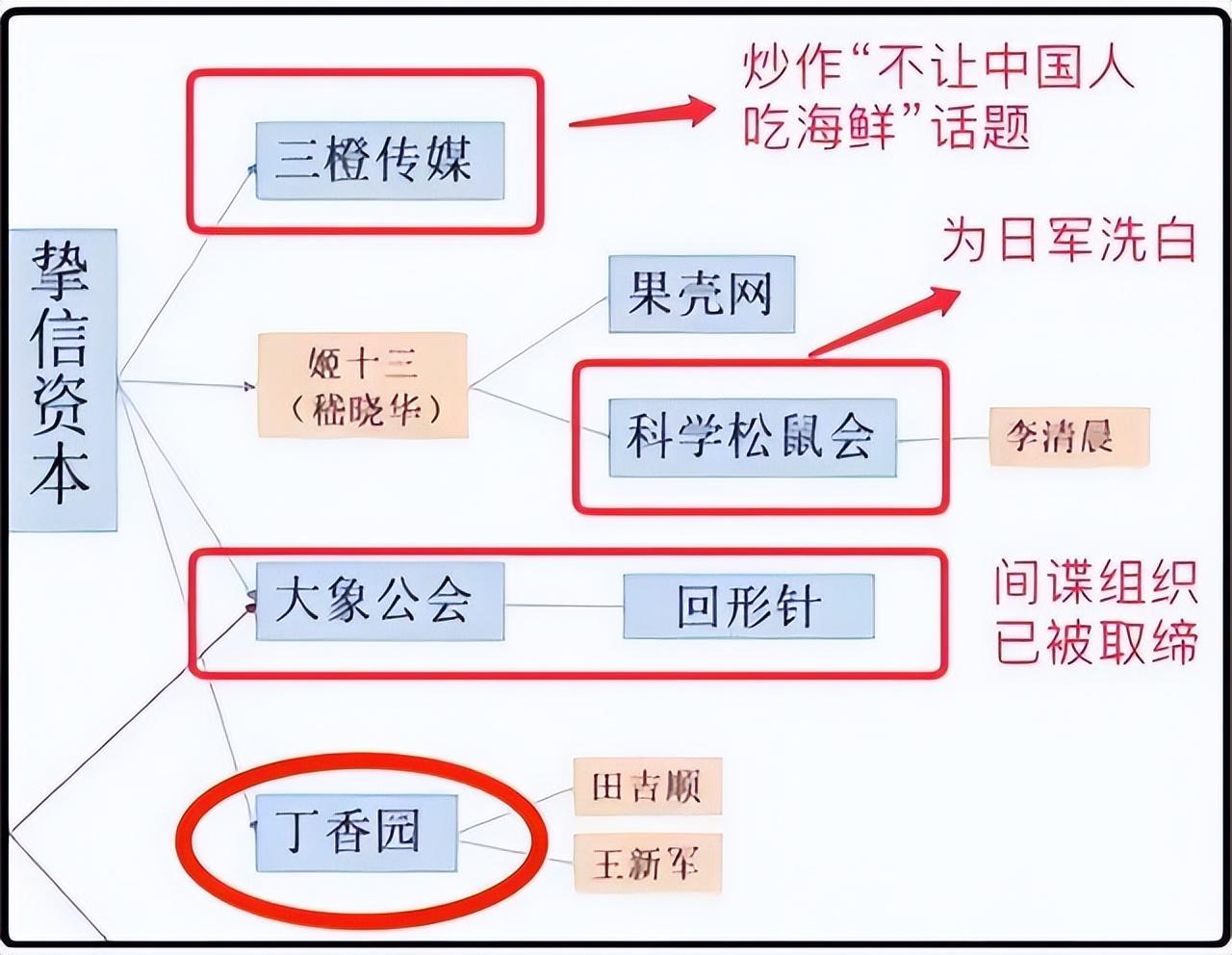 丁香医生是谁(一夜之间全网禁言！曾经干掉权健的丁香医生，为何会招人恨？)