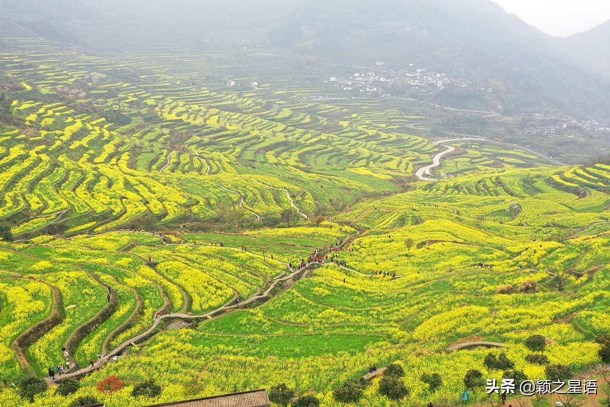 东山再起的主人公是谁（绍兴上虞东山，谢安东山再起之地，淝水之战留功名）