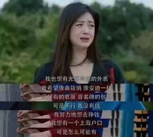 樊胜美是谁(《欢乐颂》中的樊胜美是如何一步步沦为“捞女”的)