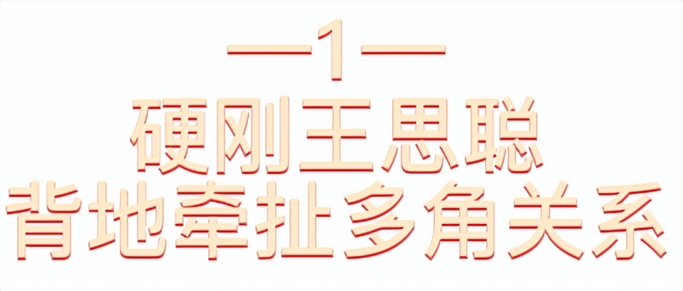 孙一宁个人资料简介(遭王思聪“舔狗式”追求却不动心，背后深陷四角关系？)