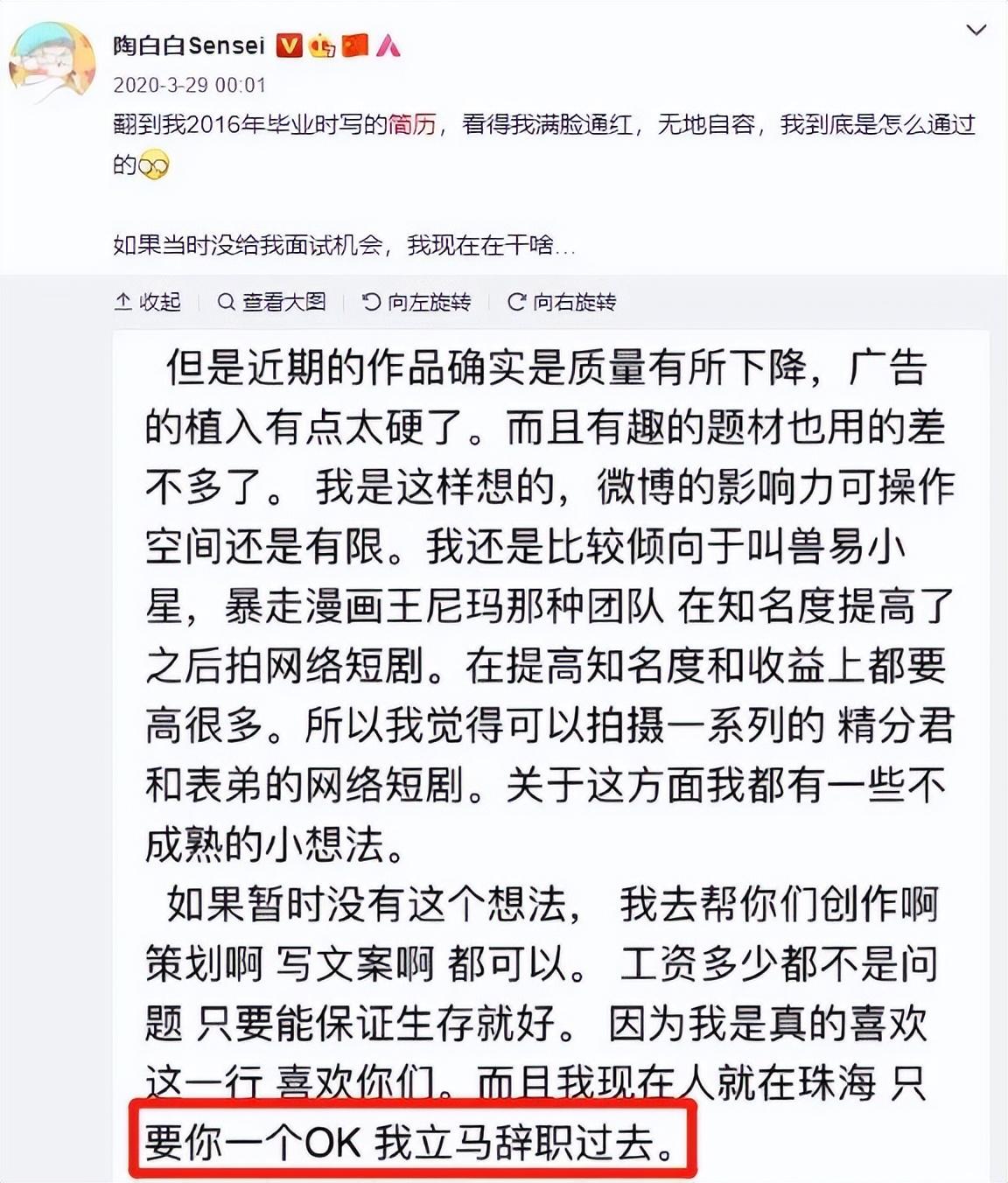 陶白白是谁(爆火的互联网算爱大师，全网5000万人迷恋，真有那么神？)