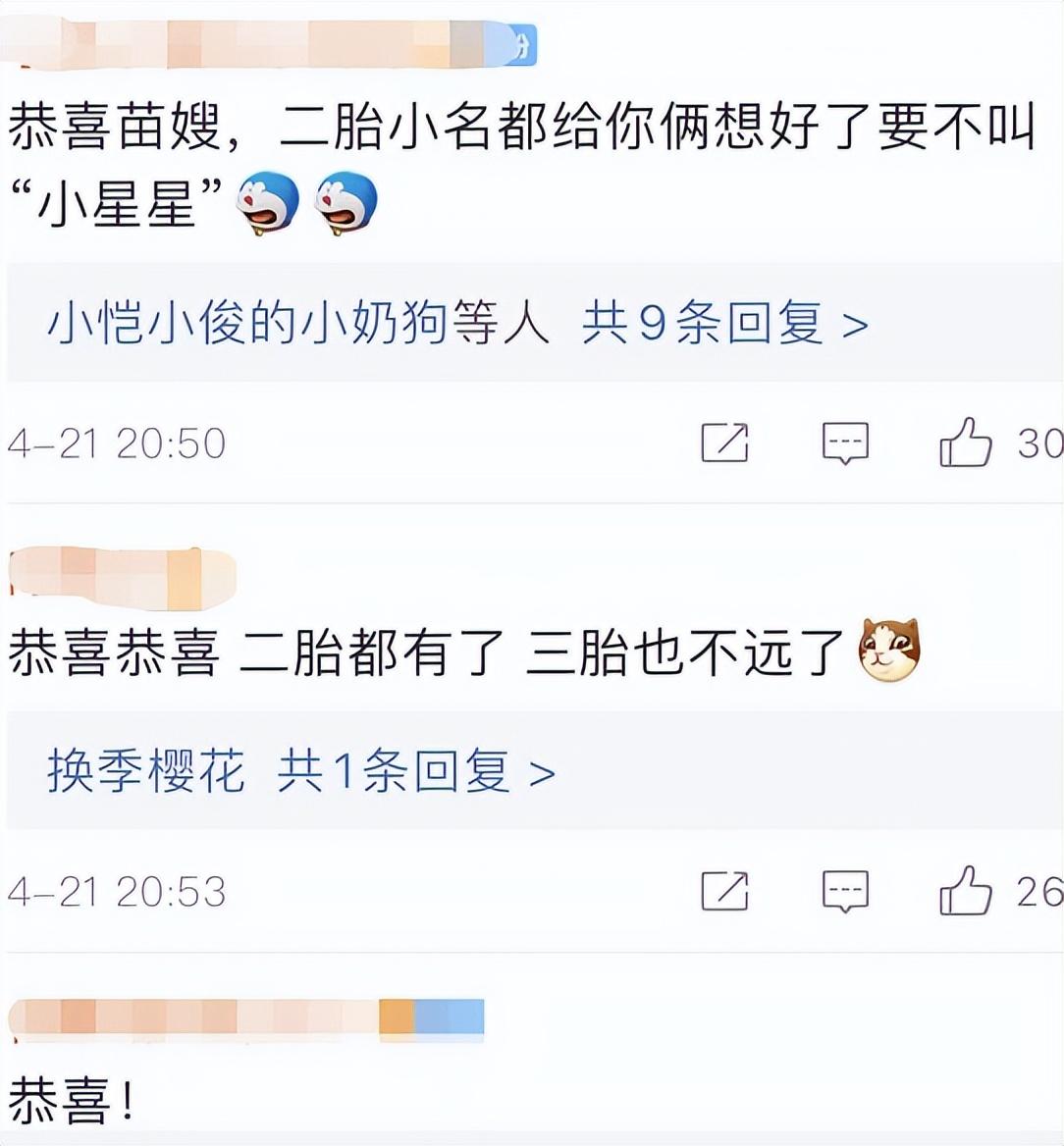 苗苗是谁啊(苗苗怀二胎，嫁给郑恺，她真的有安全感吗？)