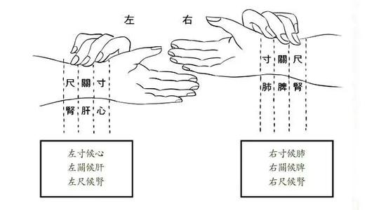 望闻问切是谁提出的(中医“望闻问切”是怎么产生的？)